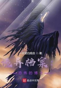 王者荣耀之时空旅客