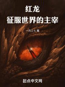 那只黑豹和我