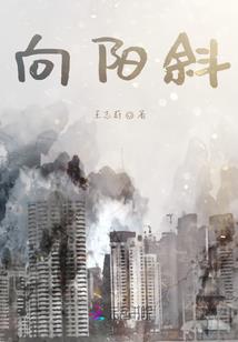 蝶之绝