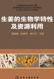 极品祖师爷