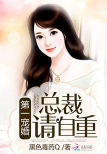 风骑士的传说