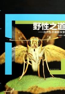 我是参赛者