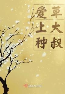 布棋天下