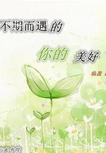 重生之皇妃路