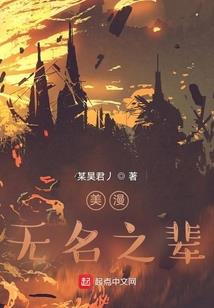 武刻录