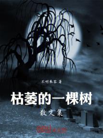 怿纪传