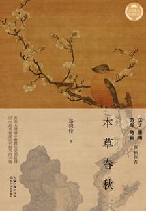 无限穿越的狂想曲