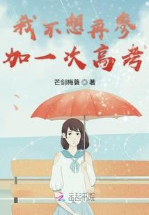 冷王的绝世侧王妃