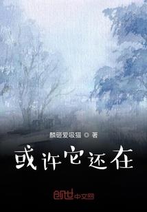 夜阑大陆