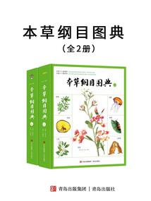 吉利偷走了我的青春