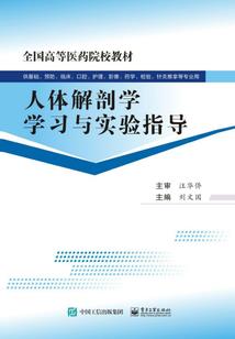 一个人的修仙