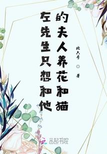 苟莽二象性，华盖登仙