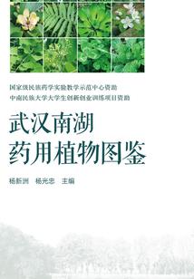 斗罗：开局被千仞雪追杀