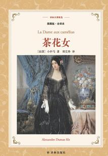 为这崩坏的世界献上魔法少女