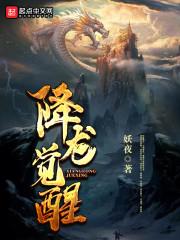 呆呆的娱乐