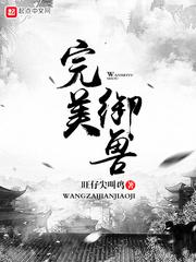 追寻情的年月