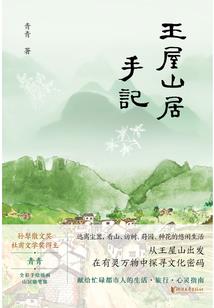 特摄见闻录之镜像时空