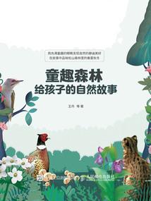 平凡的改造师