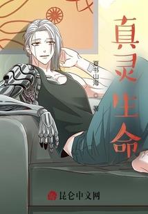 江湖往事之心软是病