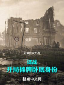 海贼王苏格衫