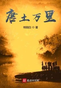宠物小精灵之成就传奇