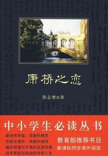 岩神传