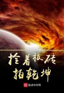 宠物小精灵之阿信