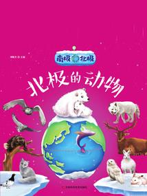 最强非玩家