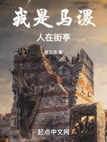张侦探的自传