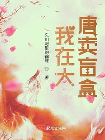某不知名的小说作者养成记