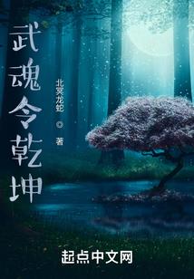 艾斯大陆之好土的凤凰