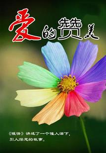 结界师之荒蛮小子