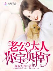 舰娘之某克普鲁的提督