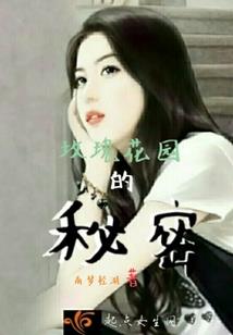 赛博坦革命：让旗帜漫卷无限