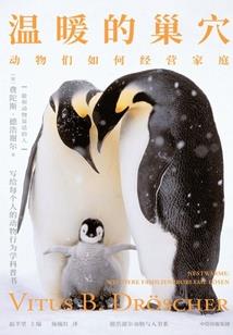 姐姐就是一个传说