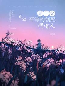 梦中三国志