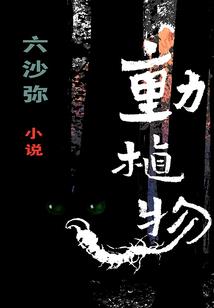 旋风少女之白兔情璇