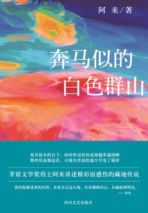 冤家大明星，我们相爱吧