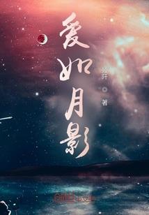 千变诺亚
