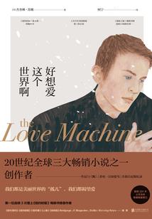 神之翼我非仙子