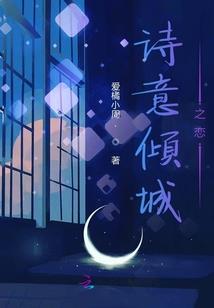 神奇宝贝之追寻巅峰