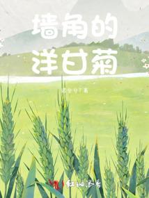记忆七秒