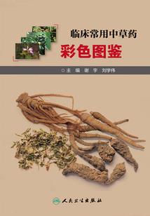 魔幻诛仙史
