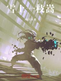 乱世之传