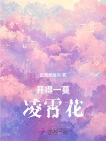 花与烬