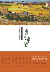 凡尘争仙
