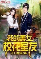 圣骑士和疯巫妖的冒险日志
