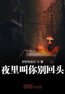 总裁大人的百变小野猫