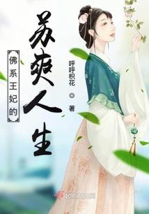 有猫来过