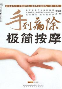 全职杀手保镖
